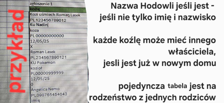 przykład_zgloszenia_male